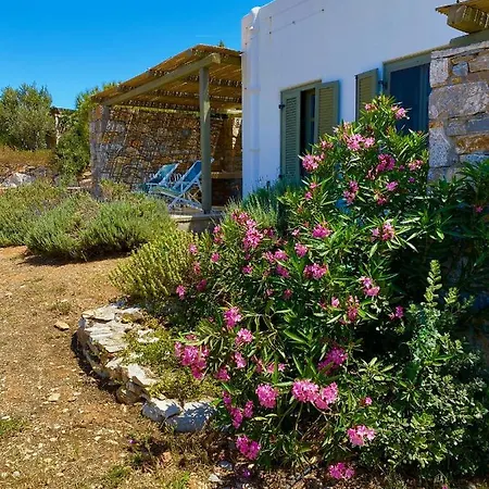 Βίλα Handras-ulivo & Mandorlo, By Amorgos Homes